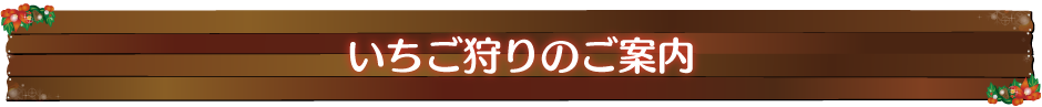 いちご狩りのご案内